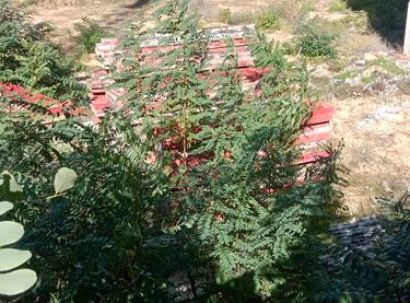 Статус строительства Doma Trabotti Дом 4