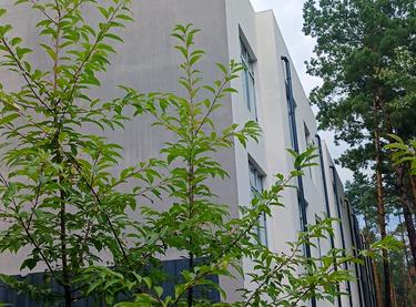 Статус строительства ЖК Сосновый Дом 1