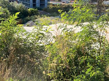 Статус будівництва ЖК SALUT! Будинок 2 (Секція 1, Секція 2, Секція 4, ...)