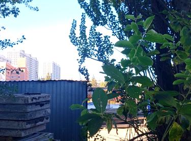 Статус будівництва ЖК 4 сезони Будинок 5