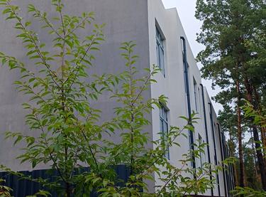 Статус строительства ЖК Сосновый Дом 1