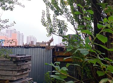 Статус будівництва ЖК 4 сезони Будинок 5