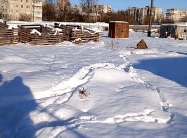 Статус будівництва ЖК ЕКО-ДІМ на Трускавецькій Будинок