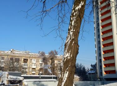 Статус будівництва Прибутковий будинок S1 Нивки Будинок