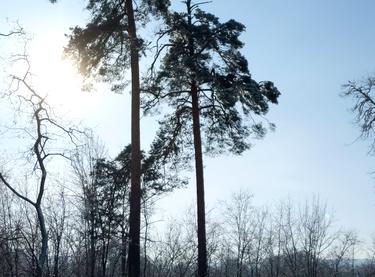 Статус будівництва вул. Живописна, 10 Будинок (Секція 1, Секція 2, Секція 3)