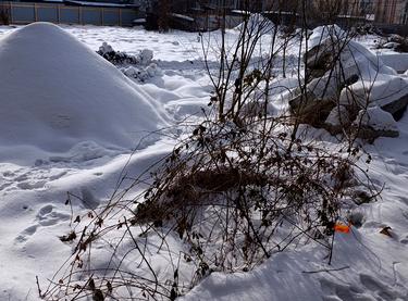 Статус будівництва ЖК Woodside Будинок