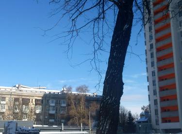 Статус будівництва Прибутковий будинок S1 Нивки Будинок