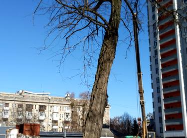 Статус будівництва Прибутковий будинок S1 Нивки Будинок