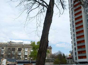 Статус строительства Доходный дом S1 Нивки Дом