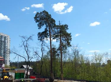Статус будівництва вул. Живописна, 10 Будинок (Секція 1, Секція 2, Секція 3)