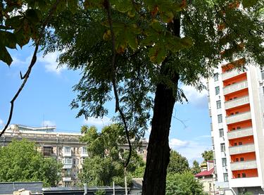 Статус строительства Доходный дом S1 Нивки Дом