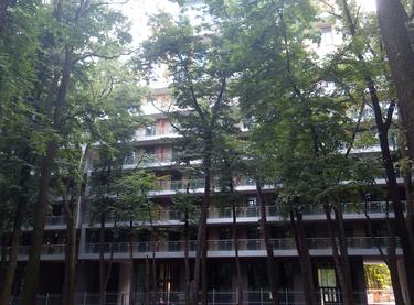 Статус строительства ЖК Crystal Park Дом