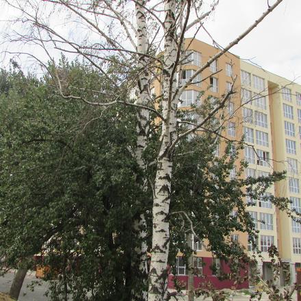 Хід будівництва ЖК Софіївська сфера, вул. Соборна, 126/1, просп. Небесної Сотні, 26/9, серпень 2017