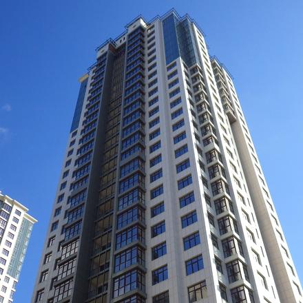 Хід будівництва ЖК Новопечерські Липки, вул. Михайла Драгомирова, 15, січень 2016