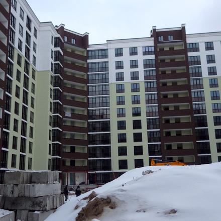 Ход строительства ЖК Лесная сказка, 6 очередь (дома 13-15), январь 2019