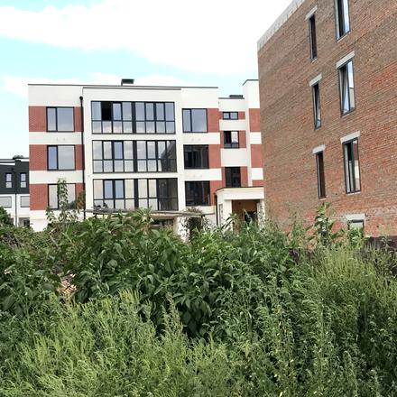 Хід будівництва ЖК Гостомельські Липки-5, 1 будинок, серпень 2021