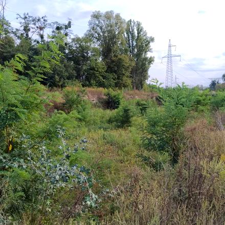 Хід будівництва ЖК Svitlo Park, 12 будинок, вересень 2024