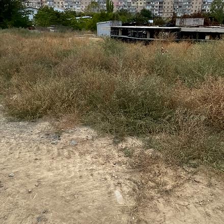 Хід будівництва ЖК Приморські Сади, 5.3 будинок, вересень 2025