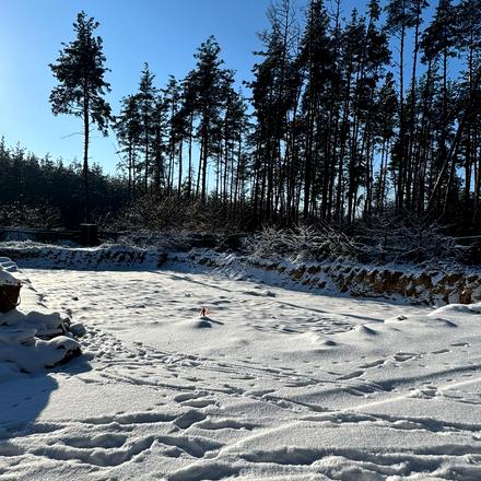 Ход строительства ЖК Идея, 11 дом, январь 2026
