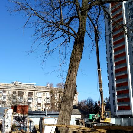 Хід будівництва Прибутковий будинок S1 Нивки, Будинок, березень 2026