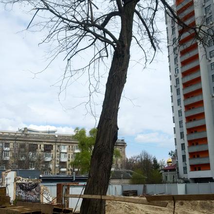 Хід будівництва Прибутковий будинок S1 Нивки, Будинок, квітень 2026