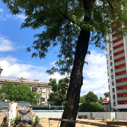 Хід будівництва Прибутковий будинок S1 Нивки, Будинок, червень 2026