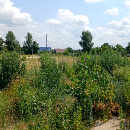 Ход строительства ЖК Stugna Residence, Общие, июль 2026