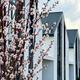 КГ DESNA HOMES
