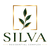 ЖК Silva