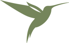 КМ Kolibri
