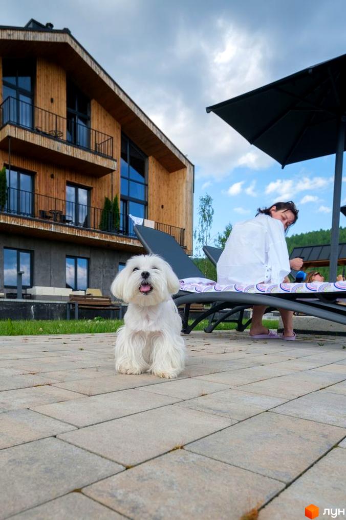 Апарт-готель Panorama Chalet з дерев'яним фасадом та балконами, поруч зона відпочинку з шезлонгами та білим собакою.