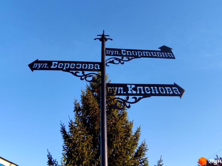 Вказівники вулиць Березова та Кленова на фоні блакитного неба. Поруч видно зелене дерево.
