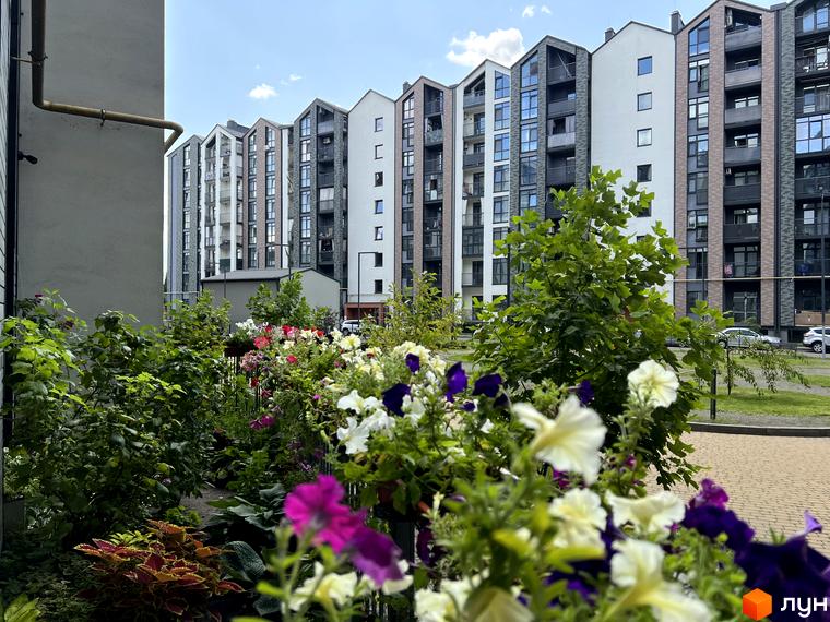 Житловий комплекс Scandia з багатоповерховими будинками та квітучою прибудинковою територією. Зелені насадження та яскраві квіти створюють затишну атмосферу.
