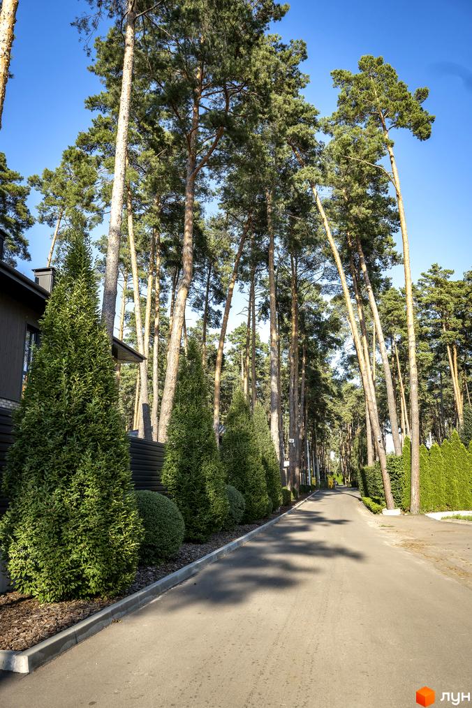 КМ ZAHRAVA village 2: котеджне містечко з алеєю з високих сосен та акуратними зеленими насадженнями. Зелена огорожа та доглянута дорога створюють затишну атмосферу.