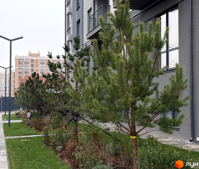 Сучасний будинок ЖК Park Residence з балконами та зеленими насадженнями на прибудинковій території.