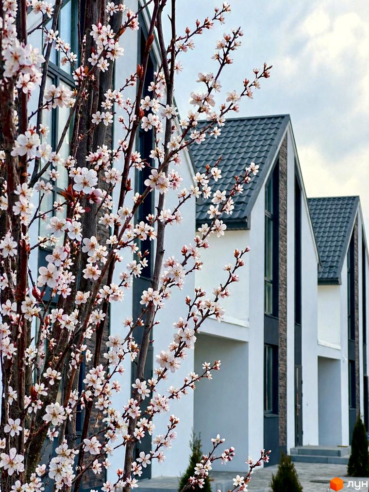 Котеджне містечко КМ DESNA HOMES з білими фасадами та темними дахами, оточене квітучими деревами.
