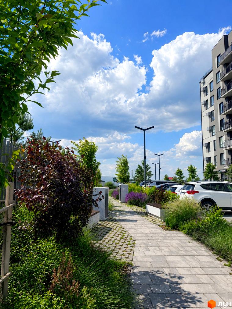 Новобудова Park Residence з багатоповерховими будинками та доглянутою прибудинковою територією з зеленими насадженнями та пішохідною доріжкою.