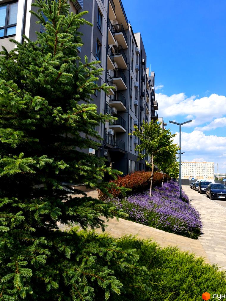 Житловий комплекс Park Residence з зеленими деревами та фіолетовими квітами на прибудинковій території. Фасад будинку сірого кольору з балконами.