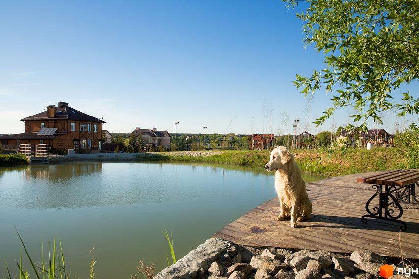 Котеджне містечко КМ Home Resort. Золотистий ретривер сидить на дерев'яному пірсі біля озера на тлі двоповерхових будинків.