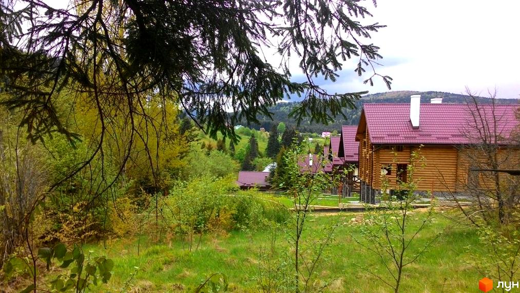 Затишні дерев'яні будинки з червоними дахами у зеленій місцевості. Прибудинкова територія з травою та деревами.