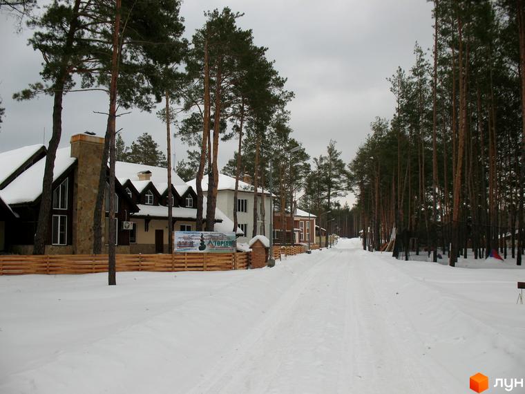 Зимовий пейзаж Котеджного містечка Green Wood club з будинками та засніженою дорогою. Навколо сосновий ліс, сіре небо.