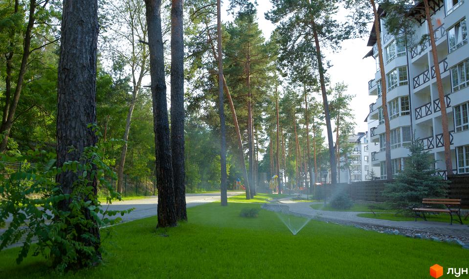 Житловий комплекс DESNA residence з білими фасадами та балконами, оточений соснами. Доглянута прибудинкова територія з газоном та лавкою.