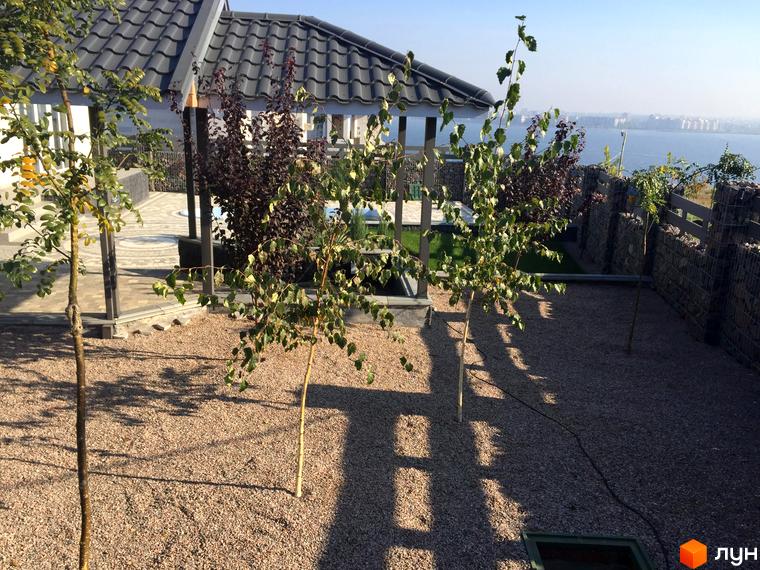 Затишна прибудинкова територія з газонною травою та декоративними деревами біля житлового комплексу 