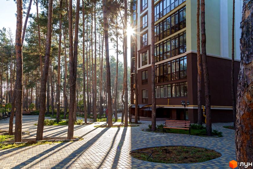 Вигляд на житловий комплекс Лісова казка з великими вікнами та коричневим фасадом. Навколо сосновий ліс і пішохідна зона.