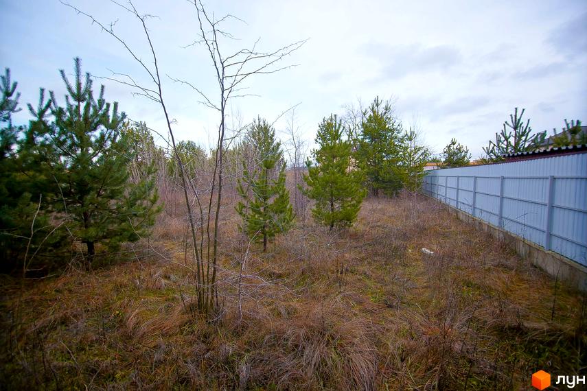 Фото Котеджного містечка Лісова Пристань. На фото ділянка з деревами та травою, поруч з парканом.