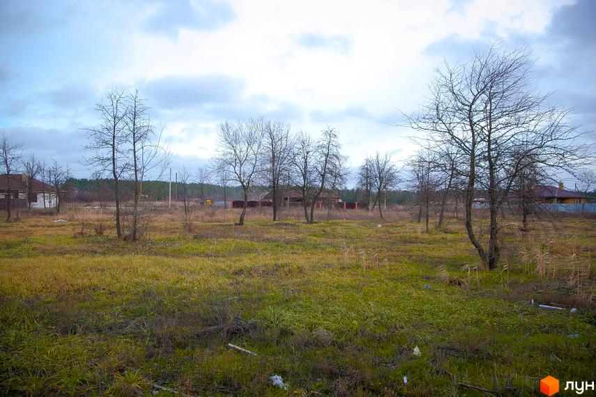 Зображення Котеджного містечка Лісова Пристань на фоні поля та дерев. Вигляд з вулиці на будинки та прибудинкову територію.