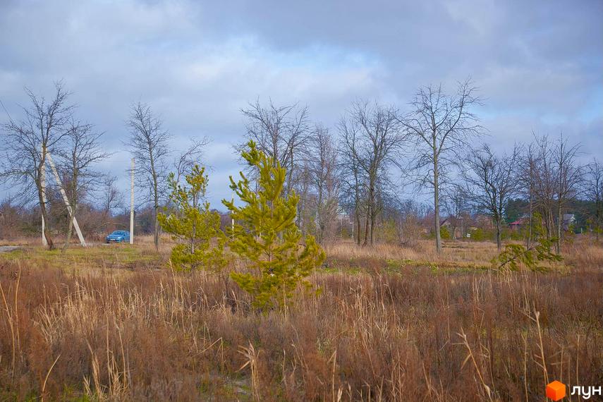 Фото Котеджне містечко Лісова Пристань: краєвид з деревами та травою, на задньому фоні видно будівлю та блакитний автомобіль.