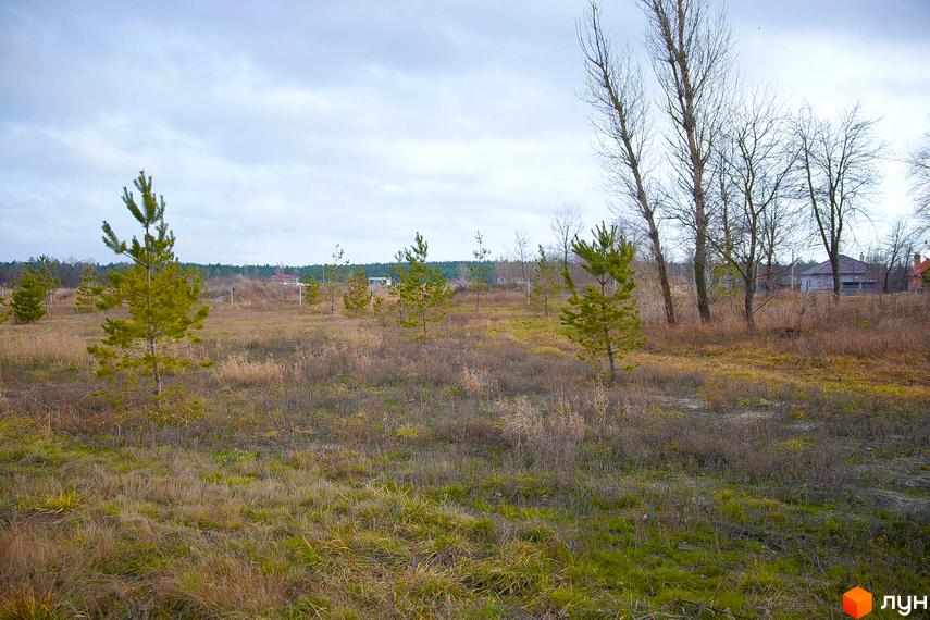 Фото Котеджного містечка Лісова Пристань. На фото видно поле з травою та молодими соснами, позаду видно будинки.