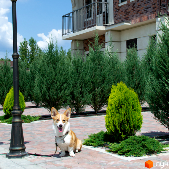 Таунхауси Liverpool House з цегляним фасадом та балконами. Прибудинкова територія з ландшафтним дизайном та декоративними деревами.