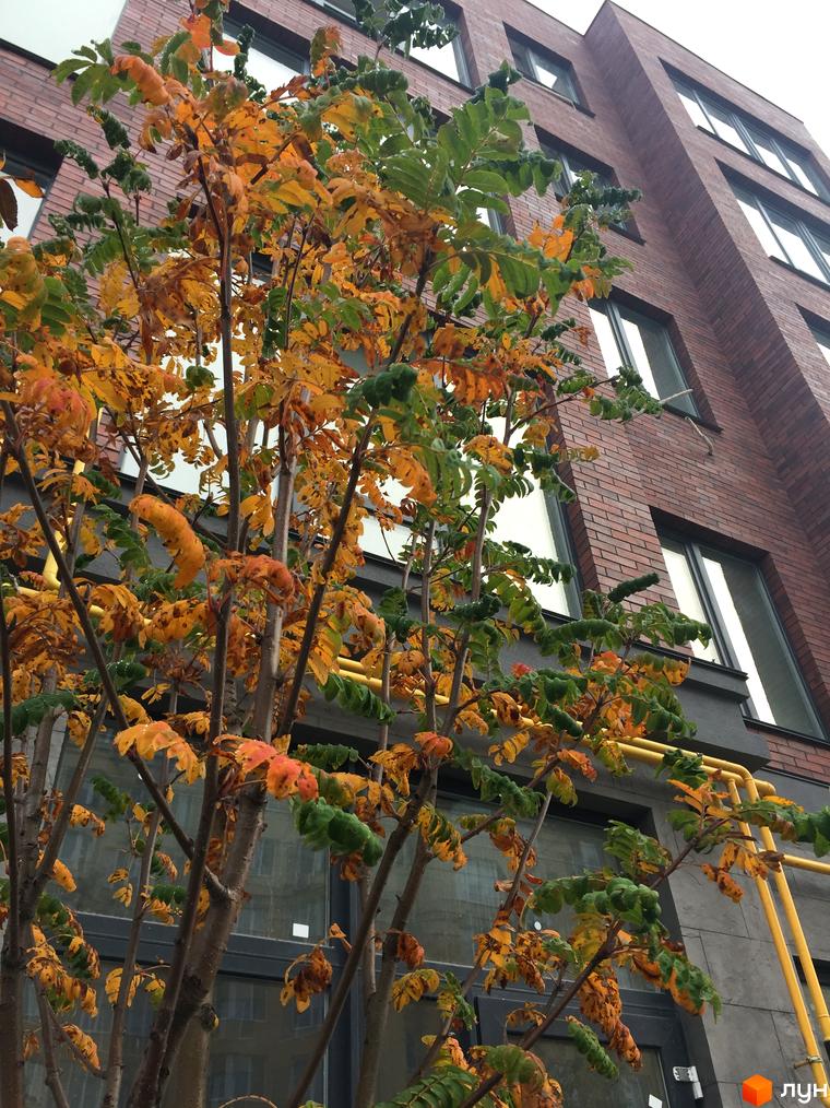 Клубний будинок Brick House з цегляним фасадом та великими вікнами. На передньому плані осіннє дерево з жовтим та зеленим листям.